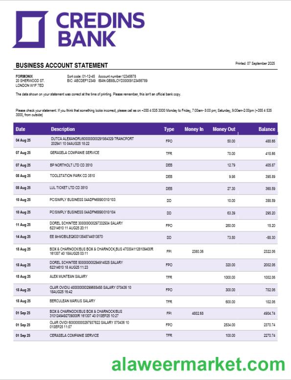 Credins enterprise account statement Word and PDF template